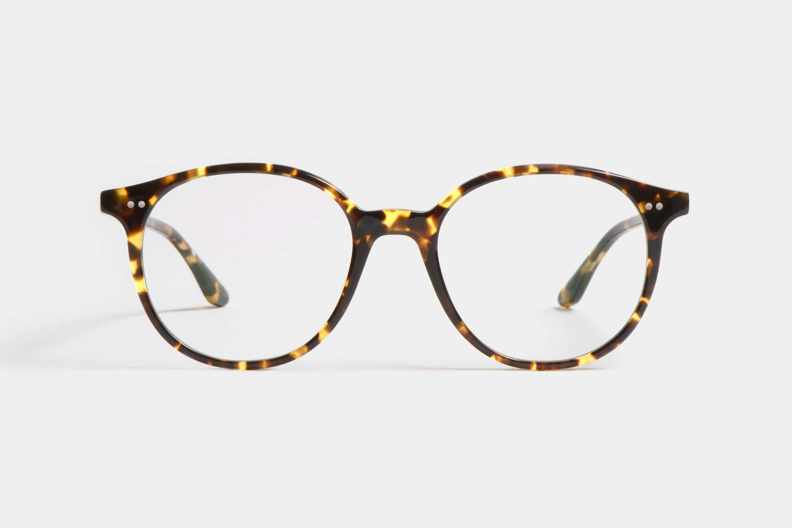 Candy T Tortoise