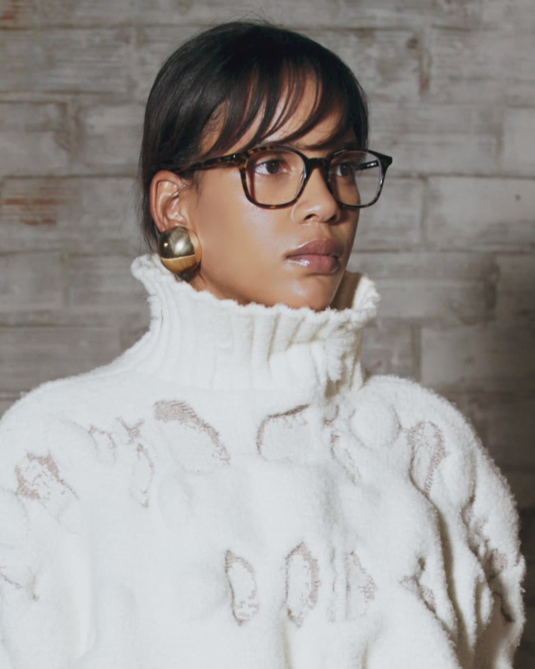 My Queen Yt Yellow Tortoise