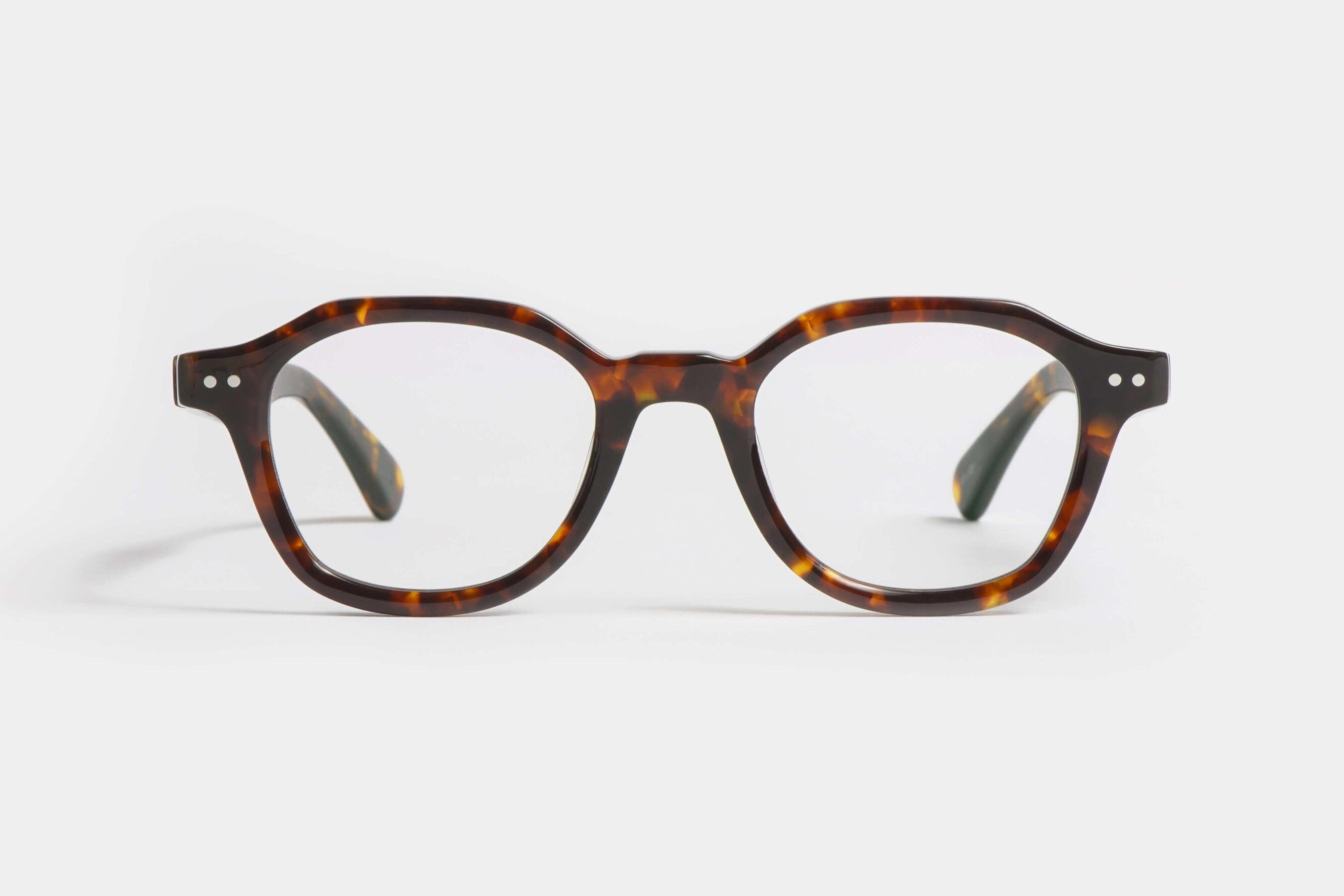 Sky T Tortoise RX