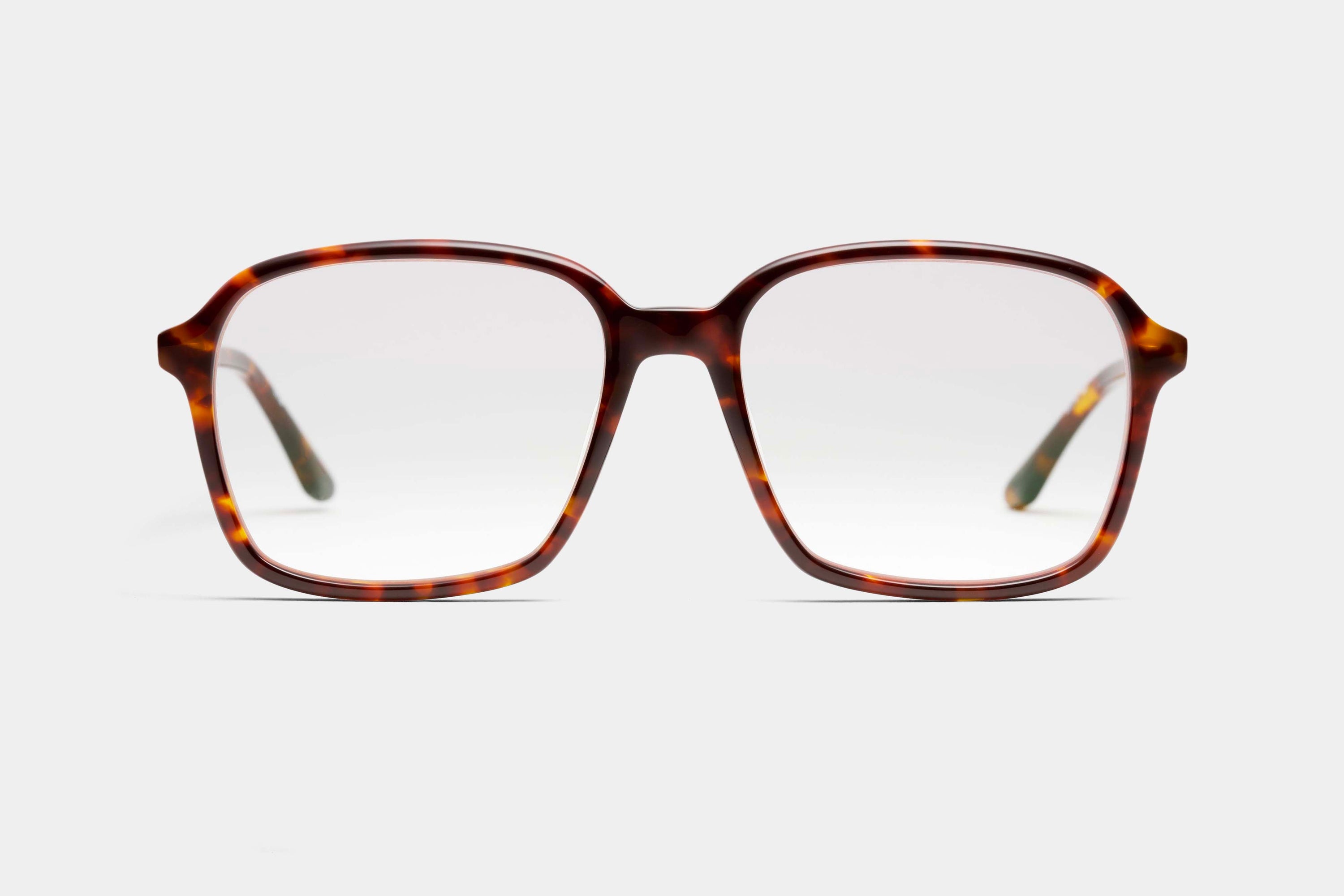 Marguerite T Tortoise