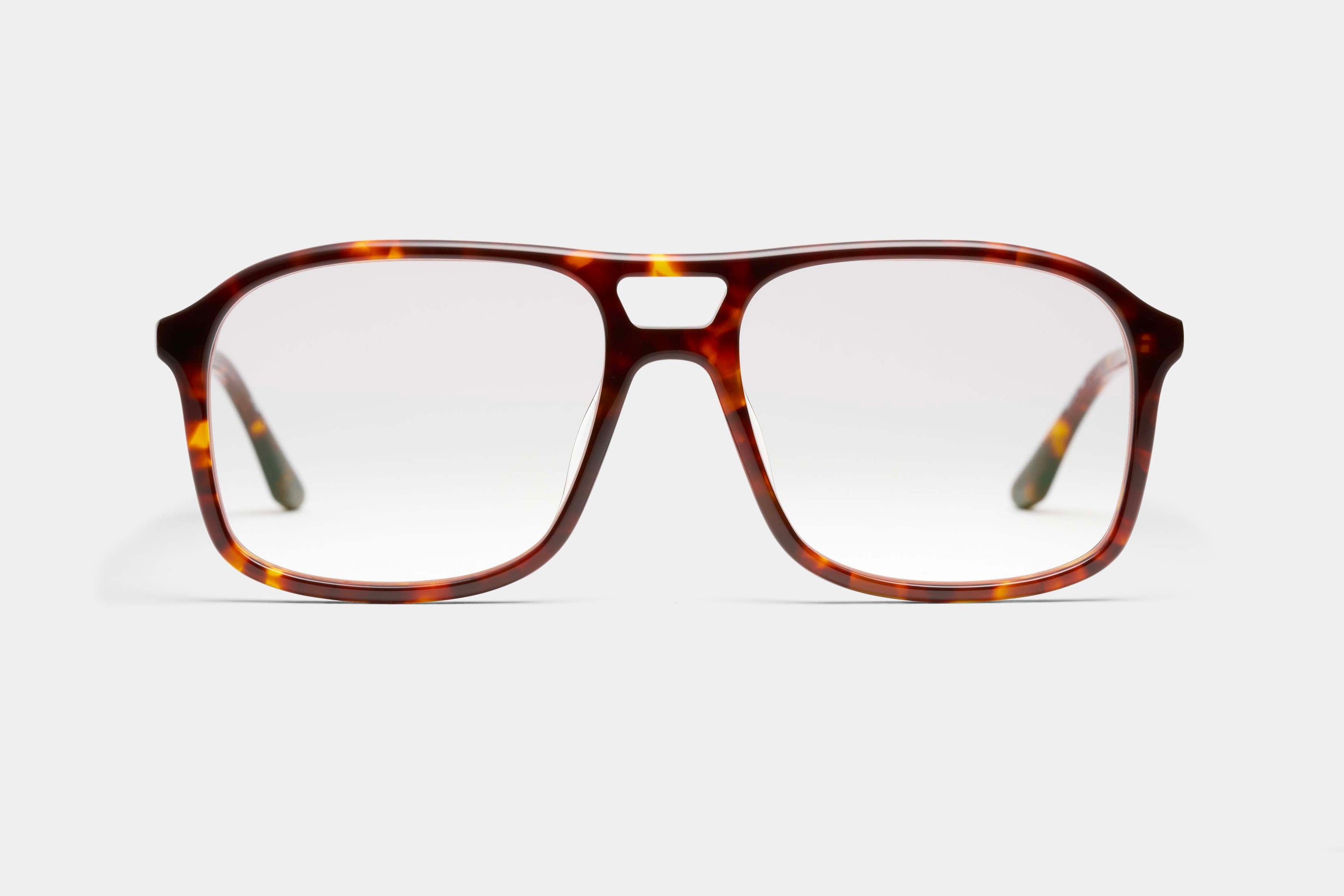 Little Eva T Tortoise
