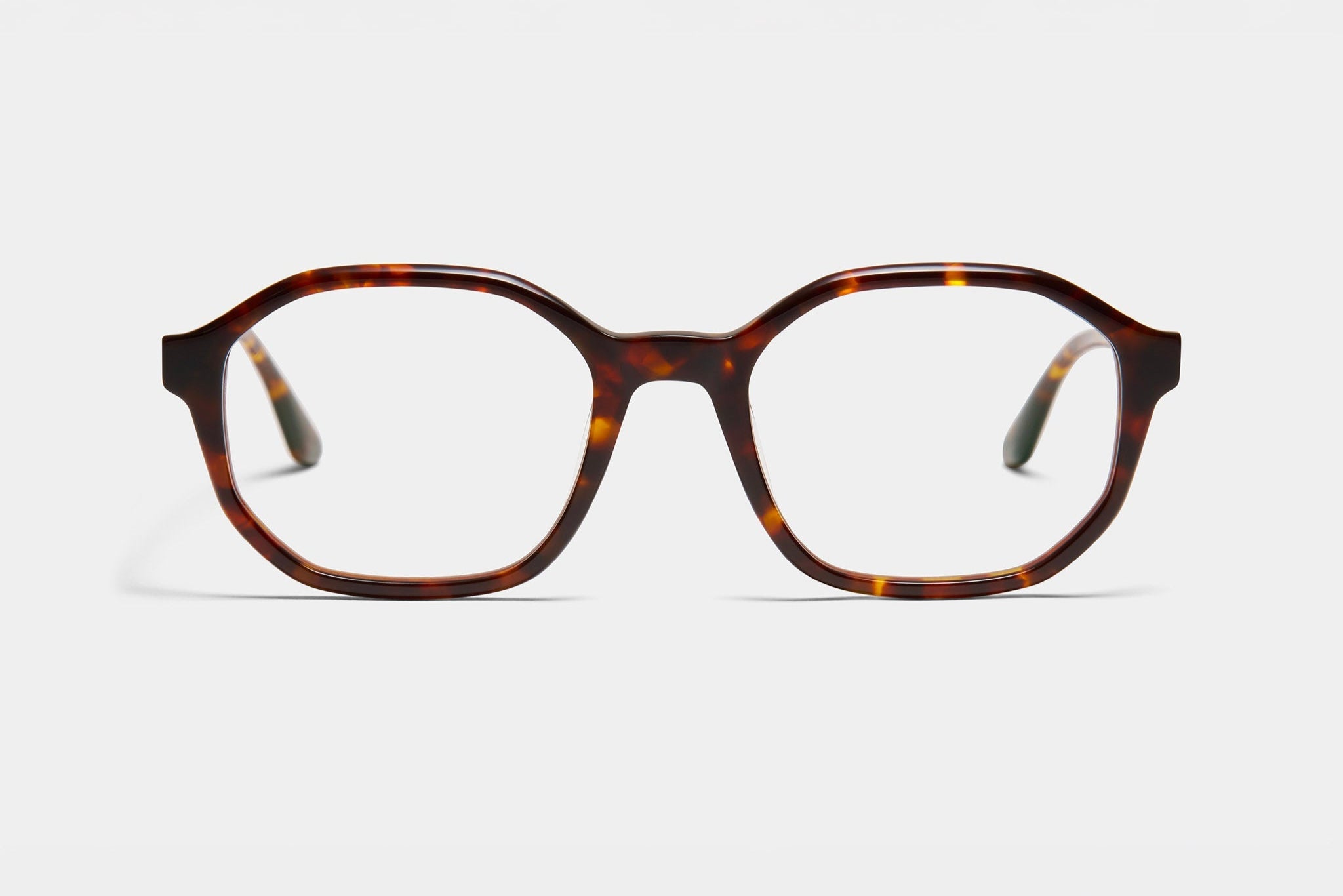 Isabelle T Tortoise