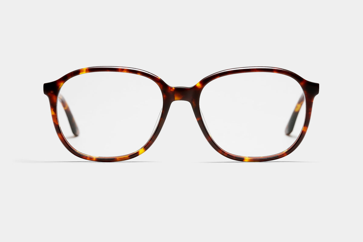 Solange Tortoise