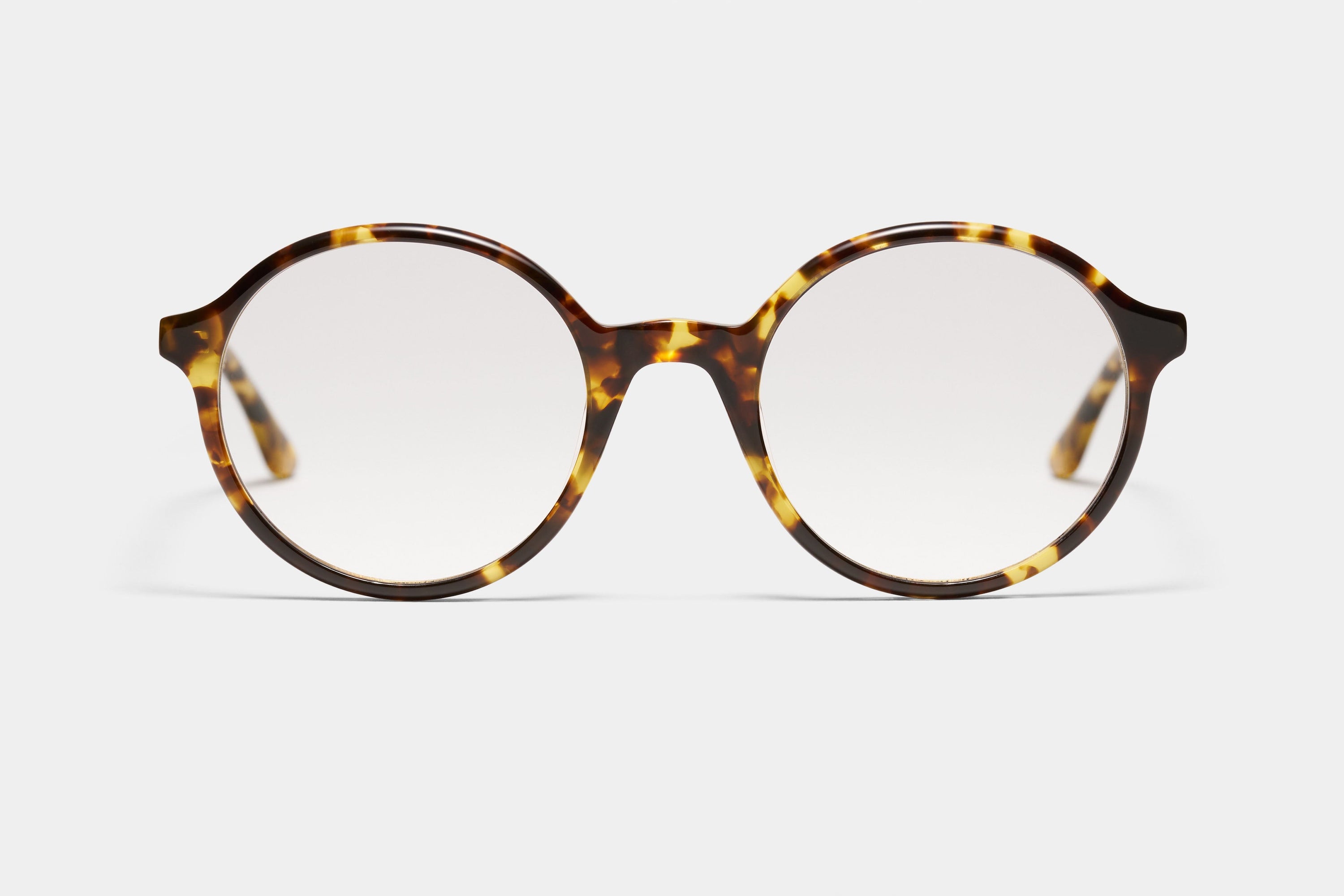 Prairie Yt Yellow Tortoise