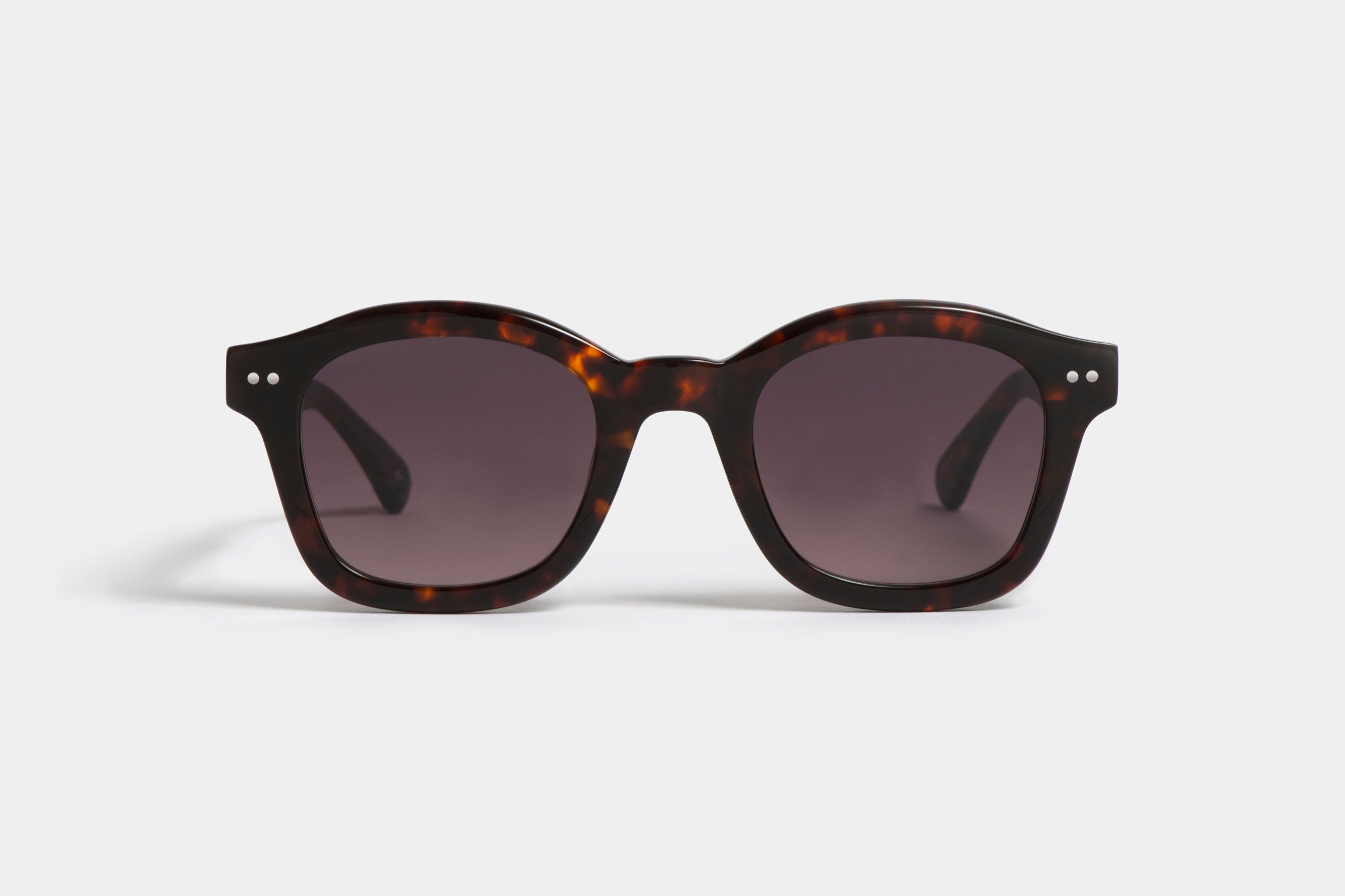 Crunchy T Tortoise Mars