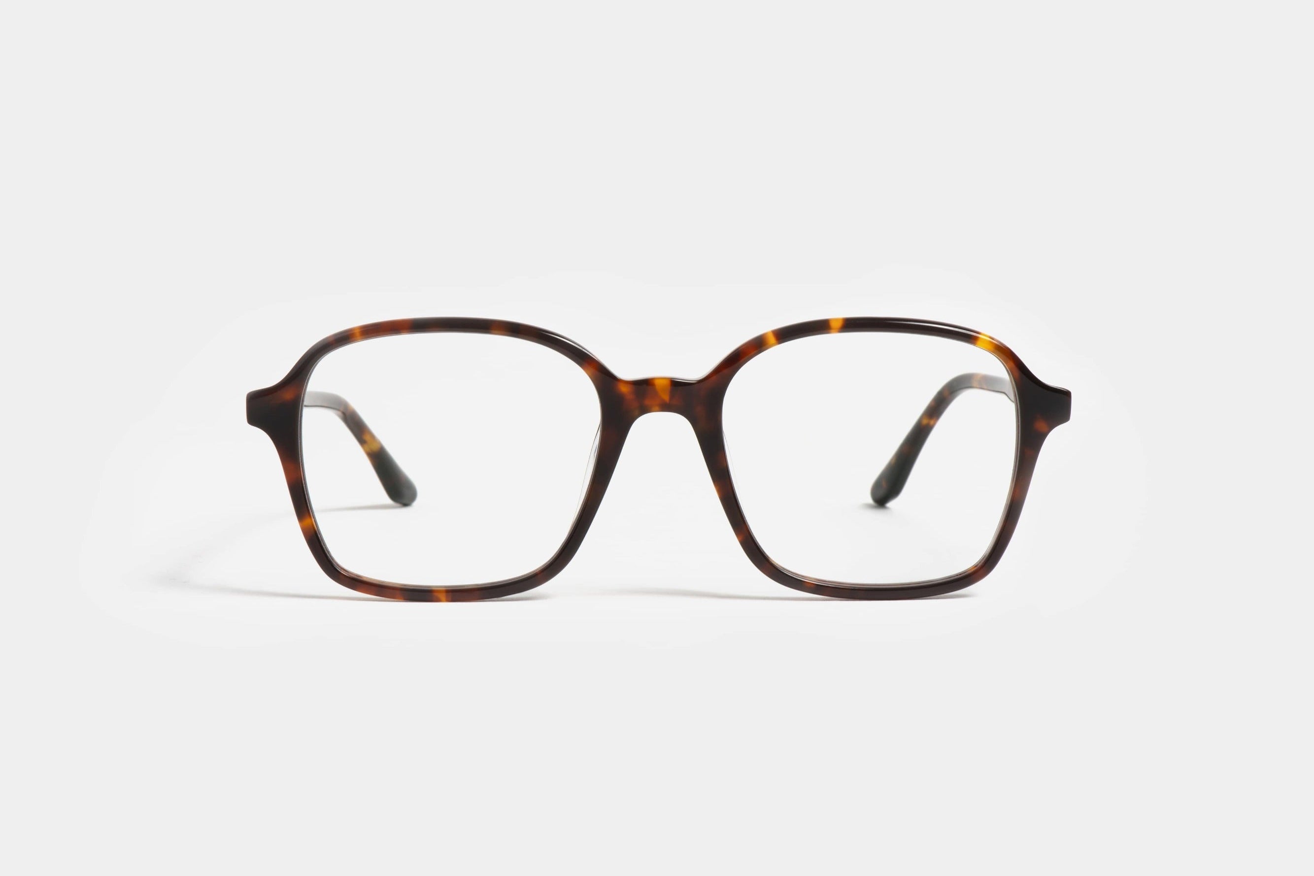 Rosa T Tortoise