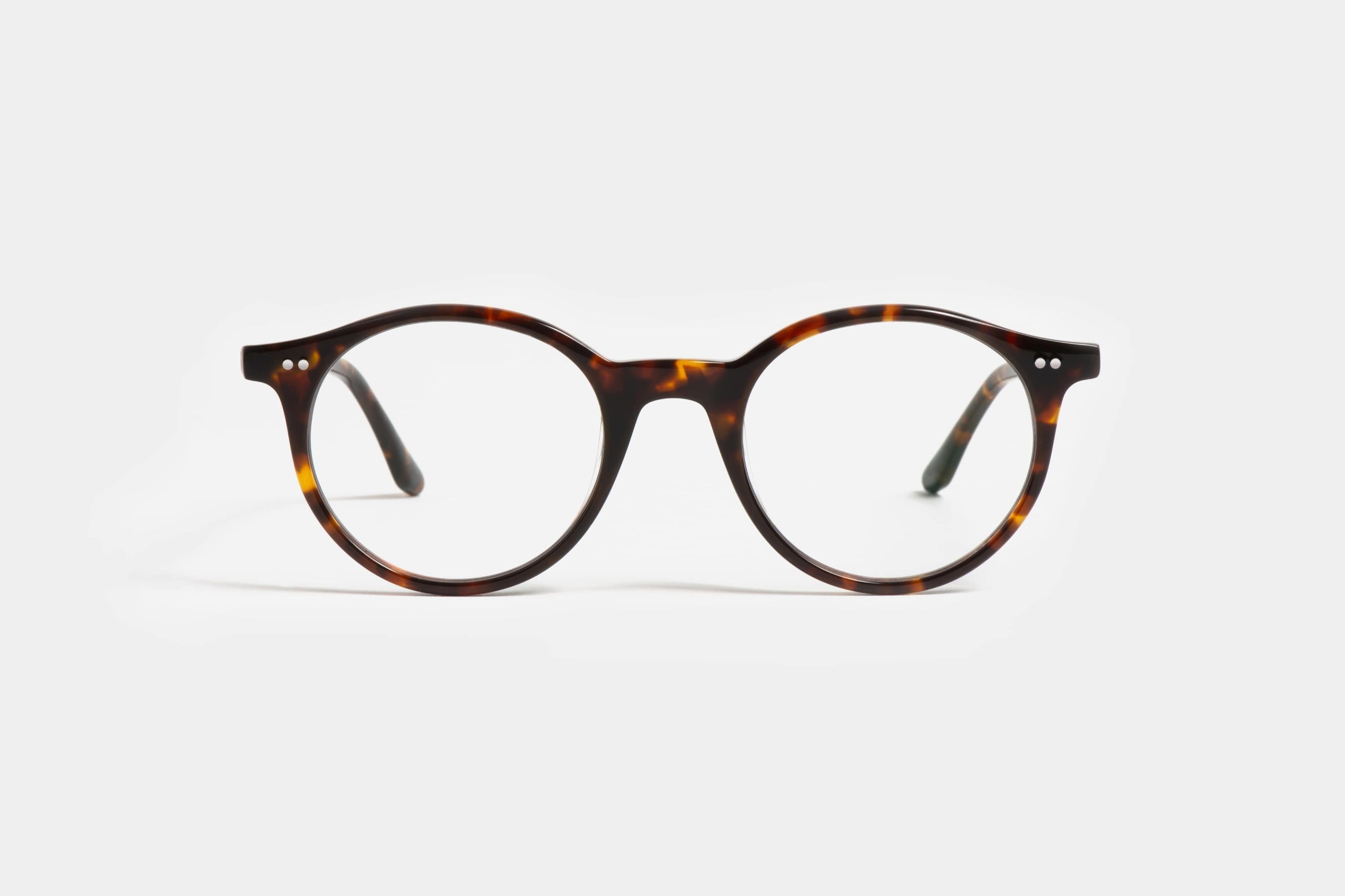 Dune T Tortoise
